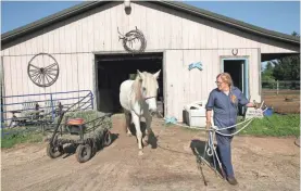  ?? MICHAEL SEARS / MILWAUKEE JOURNAL SENTINEL ?? Dee Dee Golberg and her husband, Jeff, run Spirit Horse Equine Rescue in Janesville.