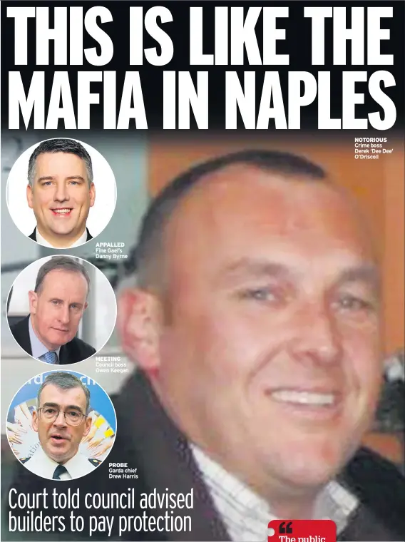  ??  ?? APPALLED Fine Gael’s Danny Byrne MEETING Council boss Owen Keegan PROBE Garda chief Drew Harris NOTORIOUS Crime boss Derek ‘Dee Dee’ O’driscoll