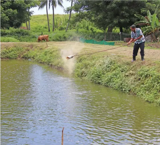  ?? Photo: Ministry of Fisheries ?? The ministry also has plans to double tilapia fry production to two million annually with the injection of new and innovative technology and resetting the new production plan in both the freshwater hatcheries situated in Ba and Naduruloul­ou.