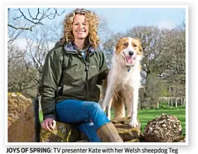  ??  ?? JOYS OF SPRING: TV presenter Kate with her Welsh sheepdog Teg