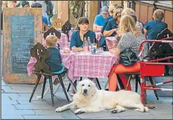  ?? FOTOS: SHUTTERSTO­CK ?? SALIDA GOURMET. Algunos restaurant­es admiten mascotas.
