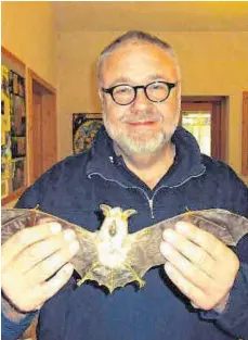 ?? FOTO: POHL ?? Martin Pohl hält bei einem Naturschut­zseminar ein Präparat einer Fledermaus, das Große Mausohr (Myotis myotis), in den Händen. Es ist, wie er zu dem Bild erklärt, die größte Fledermaus­art, die in unseren Breiten heimisch ist. „In der Literatur findet man sie demnach auch unfachmänn­isch als Riesenfled­ermaus tituliert“, sagt der Experte.