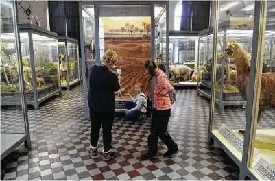  ??  ?? A young visitor poses for a photo with a display of a fennec fox at the Zoological Museum of the Zoological Institute of the Russian Academy of Sciences in St. Petersburg, Russia.