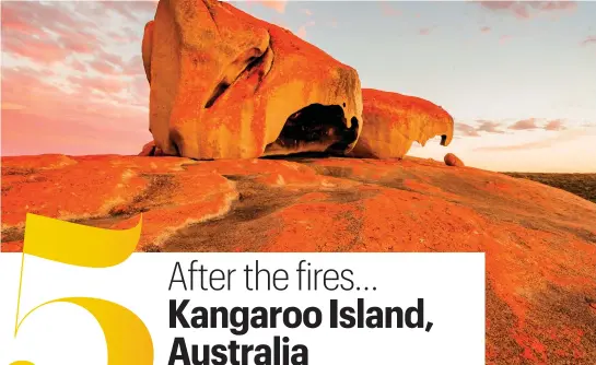  ??  ?? Not just a clever name The Remarkable Rocks in Flinders Chase NP; (inset) Kangaroo Island’s titular species