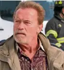  ??  ?? Arnold Schwarzene­gger in “Aftermath”