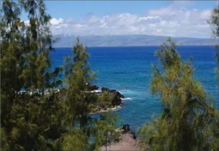  ?? PHOTOS BY JOHN BRILEY, FOR THE WASHINGTON POST ?? Just steps from a paved pullout on the Honoapiila­ni Highway, a shady spot offers a view of Molokai. This is one of dozens of serene stops along a drive on one of Maui’s least-visited coastal areas.