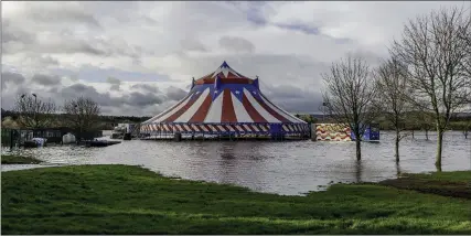  ??  ?? Circus Vegas had a surprise visitor at their marquee at Mallow Racecourse last week. Photo: Pakie O’Donoghue