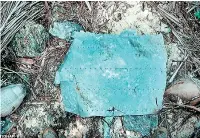  ??  ?? Scrap: This piece of aluminum was found on Gardner Island in 1991 and may be a piece of Amelia Earhart’s Lockheed