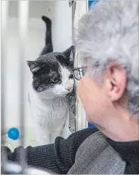  ??  ?? Nash, left, has a soft spot in her heart for troubled and difficult felines. She is pictured with Peter.