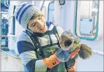  ?? LAURA WHEELAND PHOTO ?? Emilie Novaczek and a wolffish during a scientific survey last year with the Marine Institute on the RV Celtic Explorer.