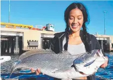  ??  ?? Local Mimi Souvanthon­g couldn’t take the smile off her face after catching her first ever jewfish. This one measured 87cm.