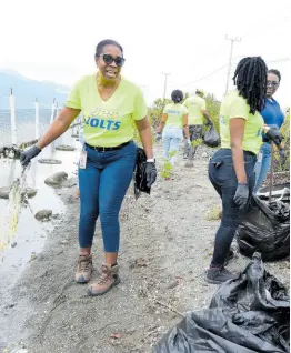  ?? ?? Volunteers from the Jamaica Public Service (JPS), Jamaica Defence Force, National Environmen­t and Planning Agency, and the University of the West Indies Marine Laboratory, help to rid the mangroves along the Palisadoes Protected Area in St Andrew of plastic bottles and other debris.