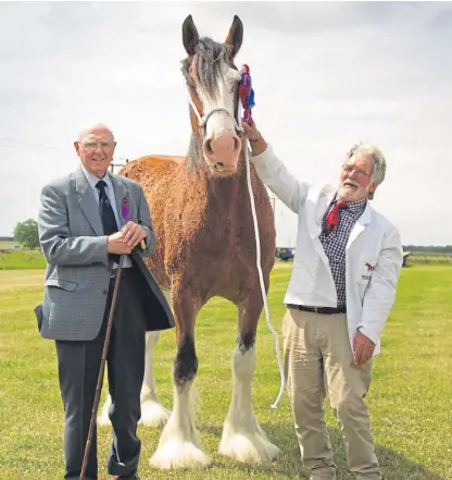  ?? Pictures: Paul Reid. ?? Sandy Aitken, right, showing his Clydesdale champion, 10-year-old mare Redcastle Pretty Amazing Grace, with breed judge Calum Mackay from Inverness.