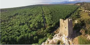  ??  ?? PUNTI DI FUGA Quando Ruffo di Calabria vuole staccare la spina si ritira in una tenuta di 2 mila ettari nel cuore della Maremma, ad Albinia, (foto sopra). Oppure lascia tutto per una battuta di pesca (la sua passione) nelle acque dell’isola di Panarea.