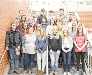  ?? SUBMITTED PHOTO ?? Members of Farmington FFA Chapter include (front) Chris Sutley, Morgan Ramos, Baylee Kilpatrick, Katelynn Horn, Jocelyn Chambers, Katie Jansson; (second row) Shay Davis, Lauren Horn, Lilly Dismang, Allee Lipford; (third row) Justin Groves, Eli South, Meredith Tratham, Kiera Huff, Isabella Norsworthy; (fourth row) Abigail Norsworthy, Jacob Benavides, Kendal Warford, Maecy Garner; (fifth row) Wyatt Hunt, Joey Thompson, Tate Franks, Drake Preston, Hunter Preston, Evan Workman.