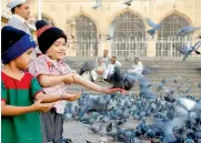  ?? — DC ?? Children feed pigeons at the Macca Masjid.