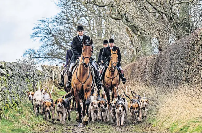  ?? ?? The Lauderdale Fox Hounds on their New Year’s Day meet in the Scottish Borders, left. Carrie Johnson, above, belongs to the Conservati­ve Animal Welfare Foundation which is proposing the ban