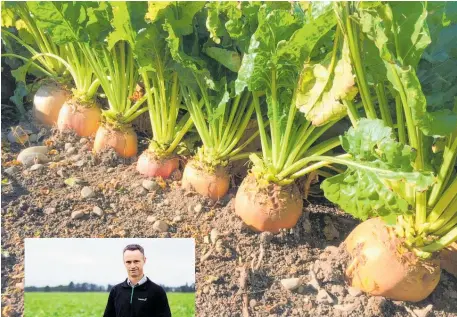  ??  ?? Ravensdown agronomist Chris Lowe (left) found high rates of nitrogen and potassium applied to fodder beet in the past were unnecessar­y.