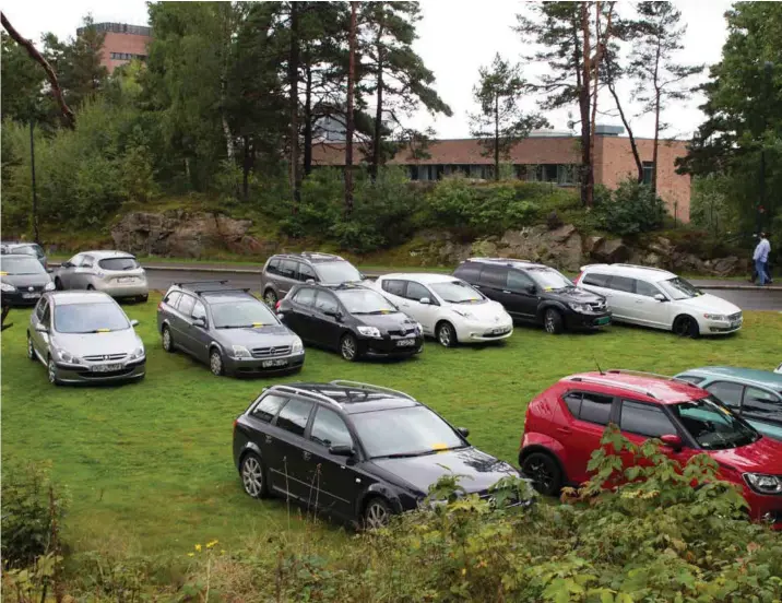  ?? FOTO: MAGNUS NØDLAND SKOGEDAL ?? Slik parkerer mange folk bilen sin, rett på en plen på UIA. Samtlige står ulovlig.