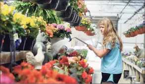  ?? Hearst Connecticu­t Media file photo ?? Madison Halas, 15, waters begonias at the Halas Farm Market in Danbury on April 10, 2017. March 20 marks the start of spring.