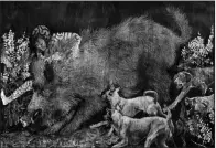  ?? (Courtesy of Arkansas Arts Center) ?? Anais Dasse’s Hog Hunting is a 2018 work of charcoal, pencil and oil painting on gessoed paper. It is 48 by 77 inches.