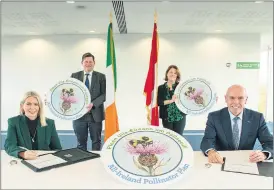  ?? (Pic: Brian Lougheed) ?? L-r: Valerie O’Sullivan, divisional manager, Michael Lynch, director of services of planning, Sharon Casey, Ecologist, and Tim Lucey, chief executive, all of Cork County Council, at the signing up to the All-Ireland Pollinator Plan earlier this week.