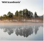  ?? INGRID KVALE, BBC STUDIOS / PBS ?? ‘Wild Scandinavi­a’