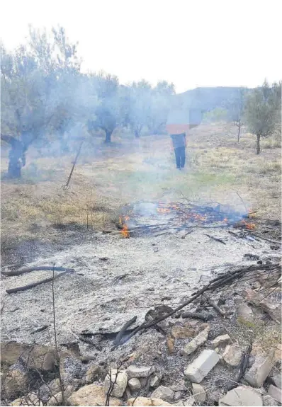  ?? ASOCIACIÓN AGENTES AMBIENTALE­S ?? Un agricultor realiza una quema pese a la orden que prohíbe esta práctica, ayer en un campo de Castellón.