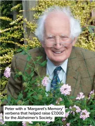  ?? ?? Peter with a ‘Margaret’s Memory’ verbena that helped raise £7,000 for the Alzheimer’s Society.