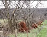  ?? LYNN KUTTER ENTERPRISE-LEADER ?? The path of the tornado can be seen by the line of uprooted trees in the photo above. An EF2 tornado was confirmed by the National Weather Service. The tornado damaged trees, electric poles, houses, storage buildings and trailers from Adair County in...