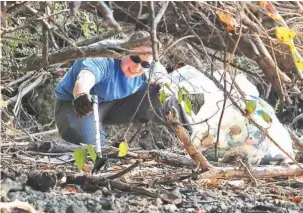  ?? PHOTO CONTRIBUTE­D BY THE TENNESSEE AQUARIUM ?? Tennessee Aquarium Aquarist Elaine Robinson reaches for a piece of plastic during Tennessee River Rescue.