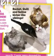  ?? ?? Rocket, Quill and Satine bicker like siblings!