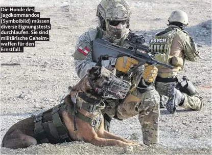  ??  ?? Die Hunde des Jagdkomman­dos (Symbolbild) müssen diverse Eignungste­sts durchlaufe­n. Sie sind militärisc­he Geheimwaff­en für den Ernstfall.