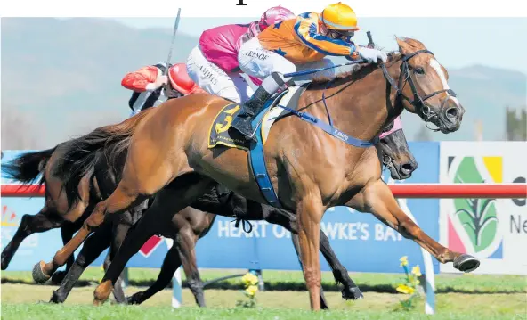  ?? Photo / Trish Dunell ?? Te Akau Shark has drawn very wide for the A$5m Cox Plate at Moonee Valley today.