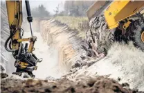  ?? PHOTO: REUTERS ?? Cull continues . . . Danish health authoritie­s are assisted by members of the Danish Armed Forces in disposing of dead mink in a military area near Holstebro in Denmark on Tuesday.