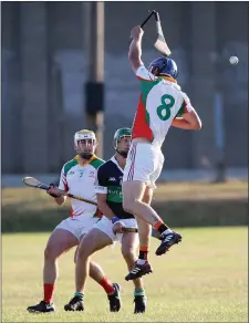  ??  ?? A new stick is required for Kiltegan’s Ronan Byrne.