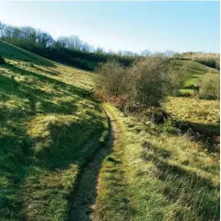  ??  ?? Green & pleasant land Taking to the trails and fields that make up the Cotswold Ring