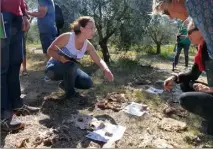  ??  ?? Fanny Vernier présente le test du slip et ses résultats aux oléiculteu­rs attentifs.