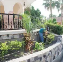  ?? Cortesía ?? Personal del área de Servicios Públicos Municipale­s trabaja en el mejoramien­to de imagen urbana de centro histórico.