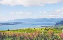  ?? ANNIE BOLDUC/TOURISME CHARLEVOIX ?? Views like this of the Charlevoix coast and nearby Isle-aux-coudres are drawing people from the city this summer, much to the relief of the area’s tourism and lodgings industry.