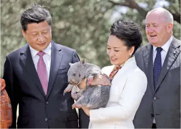  ??  ?? Australia’s Governor-General Peter Cosgrove (right) stands with Xi (left) and Peng as she holds a wombat in the grounds of Government House in Canberra. — AFP photo