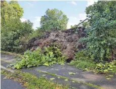  ?? FOTO: NILL ?? Bäume wurden durch den heftigen Sturm auf einem Spielplatz in der Schillersi­edlung umgerissen.