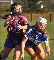  ??  ?? Eleanor Hammel wins the ball from Fianna Byrne of Laois.