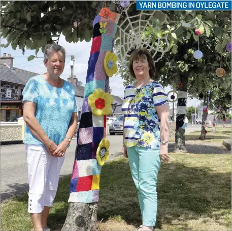  ??  ?? Anne Doran and Breda Cody with the Yarn Bombing created by members of Oylegate ICA in Oylegate village.