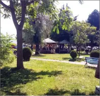  ??  ?? Klubi i dominosë në Pogradec