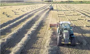  ?? JEFF MCINTOSH THE CANADIAN PRESS FILE PHOTO ?? The key to climate change? Returning a strategic 30 per cent of the world’s farmlands to nature.