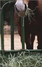  ??  ?? Provide hay in a feeder that keeps the forage dry.