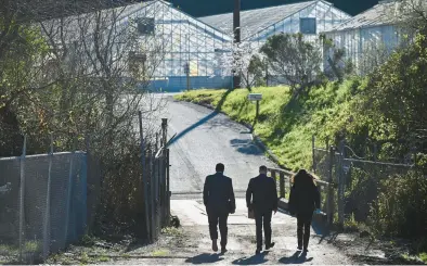  ?? SAMANTHA LAUREY/GETTY-AFP ?? FBI agents investigat­e the crime scene after a deadly mass shooting Jan. 24 in Half Moon Bay, Calif.