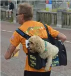  ?? – Trevor Rawson ?? ‘Teddy at Lowestoft parkrun’