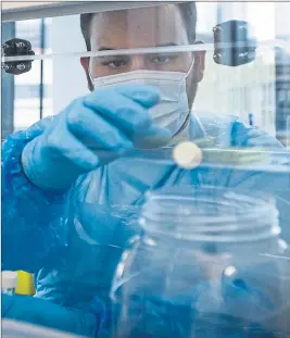  ?? Picture ?? A scientist prepares a sample for Covid-19 testing at Glasgow Lighthouse facility
Jane Barlow